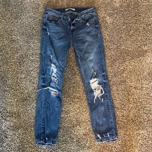 Willow & Root Jeans